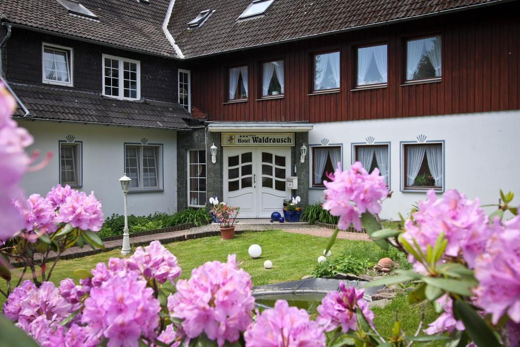 Hotel Waldrausch Goslar Kültér fotó